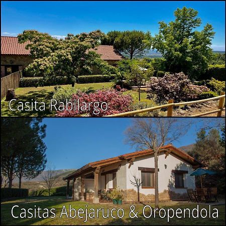 Finca La Sayuela Villa El Raso Eksteriør bilde