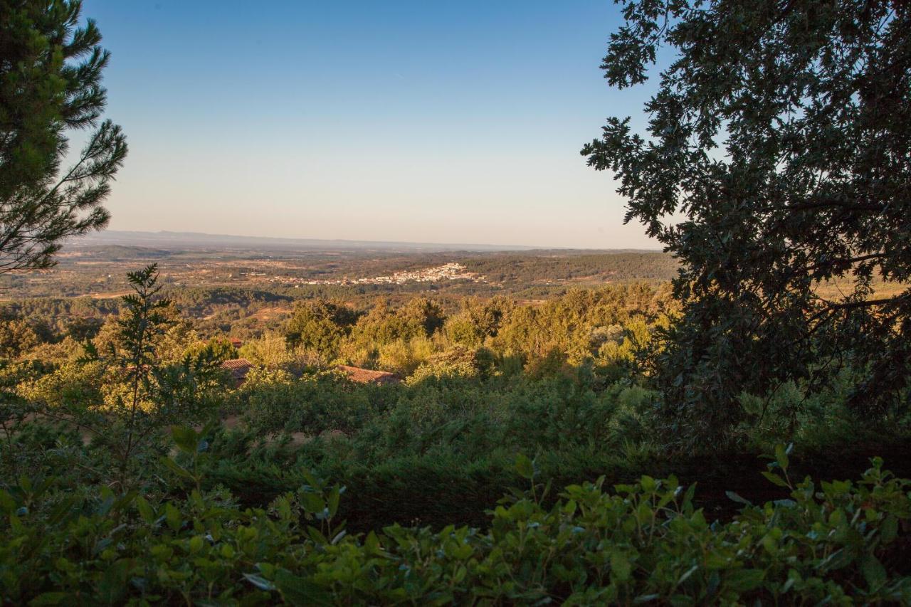 Finca La Sayuela Villa El Raso Eksteriør bilde